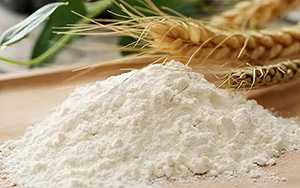 小麥澱粉